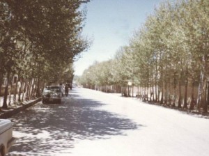 کد 05: خیابان امام در سال65  (ارسال شده توسط آقای مجید باقری)