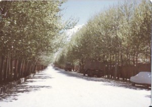 کد 06: خیابان امام در سال65  (ارسال شده توسط آقای مجید باقری)