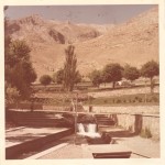 کد 19: (ارسالی آقای امیرباقری): سرچشمه در سال های دور