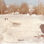 ارسال شده توسط آقای فروزش از آلبوم آقای غلامرضا لکی - فلکه سرچشمه