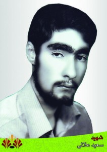 ShahidSaeedAlaei
